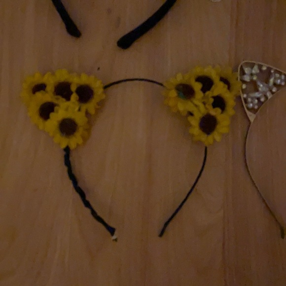 Yeah for kitties - Picture 4 of 7